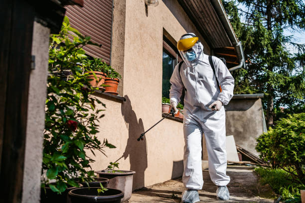 Best Local Pest Control Services  in Wallace, ID