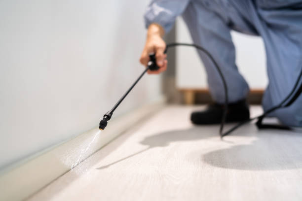 Best Best Pest Control Companies  in Wallace, ID