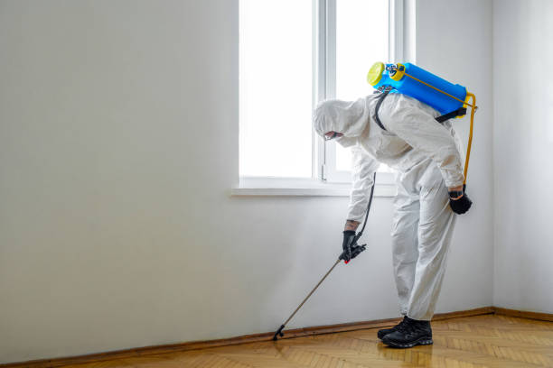 Best Affordable Pest Control Services  in Wallace, ID